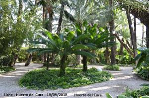 19 ELCHE HUERTO DEL CURA (45)